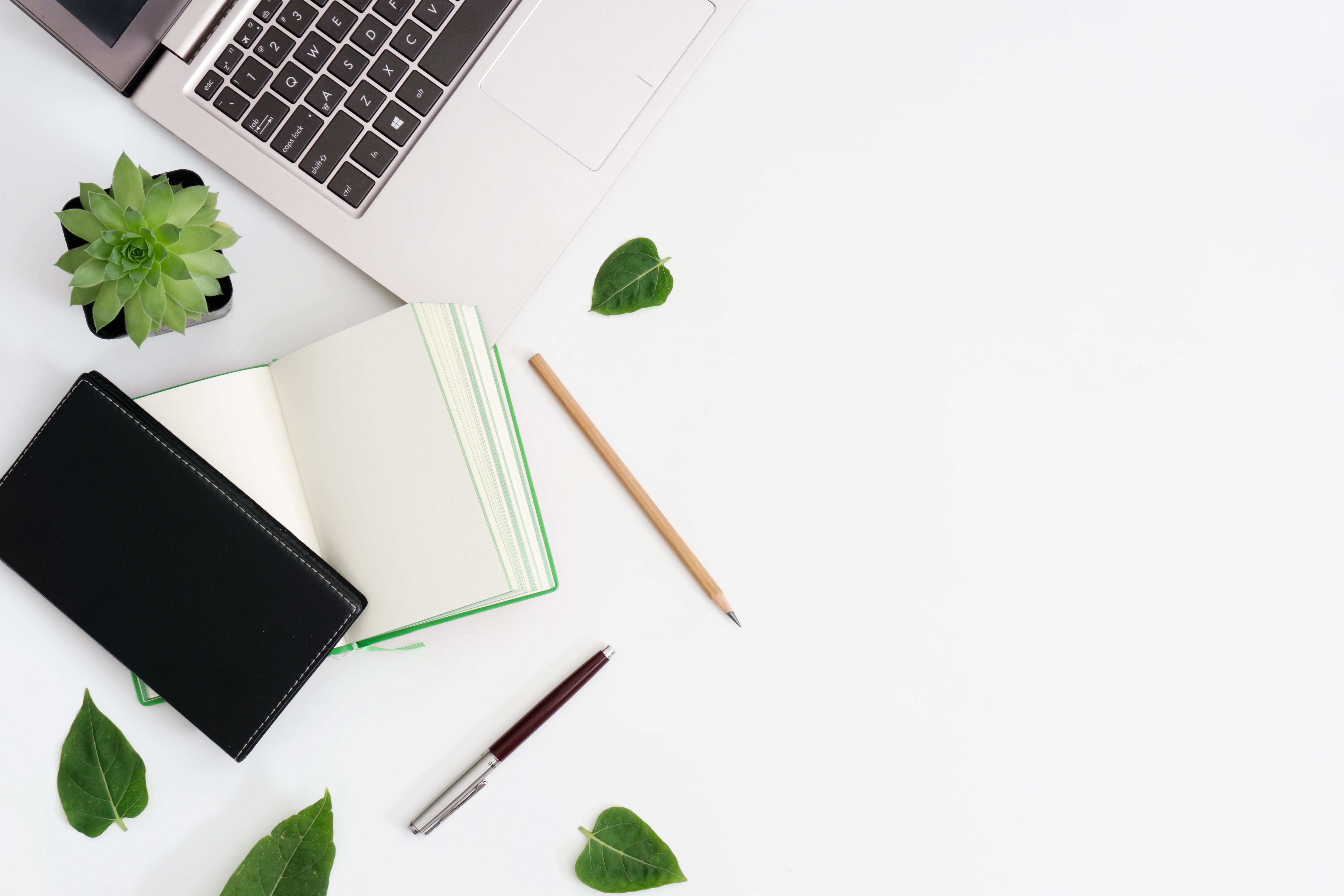 입사점 및 입주 관리